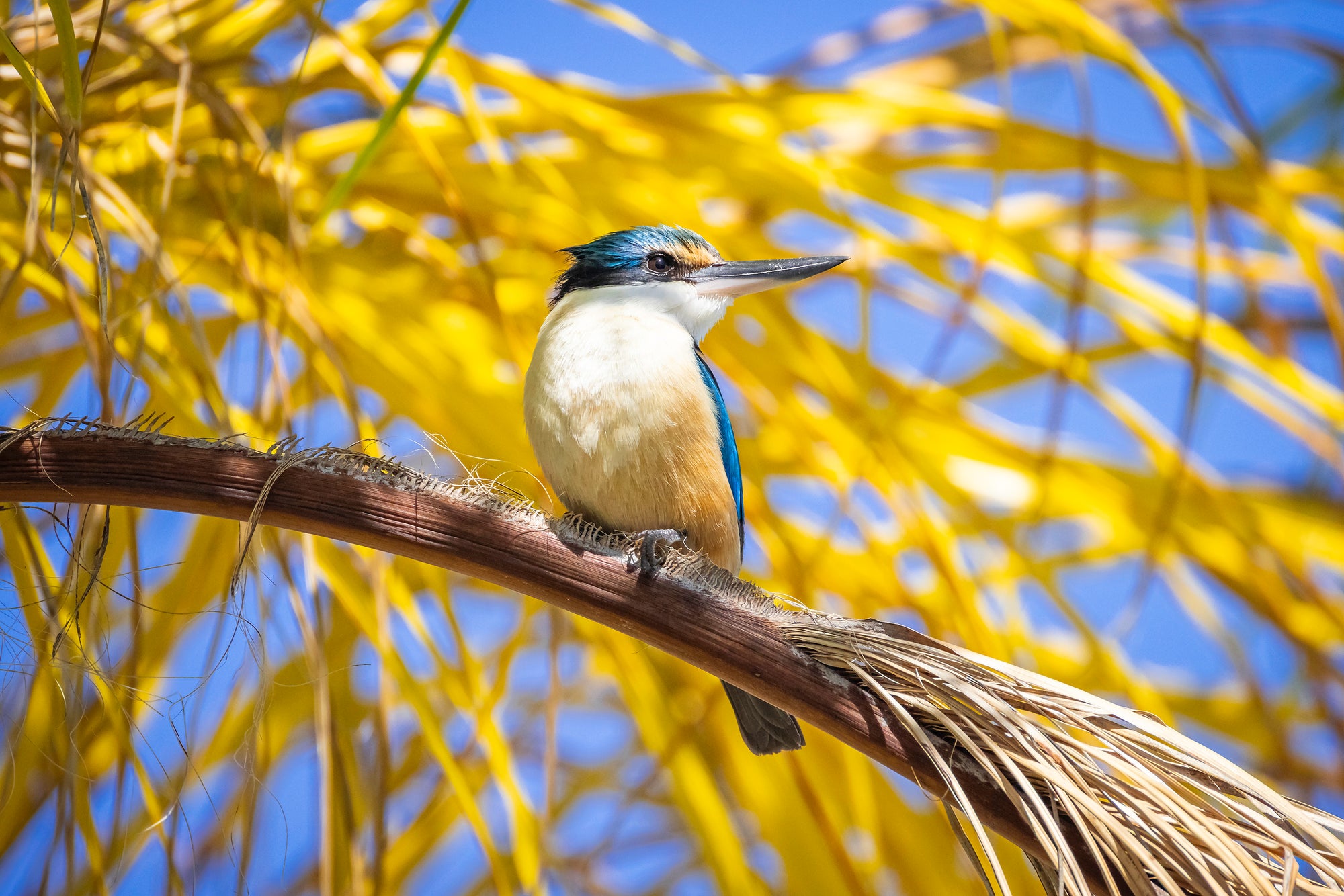 Novatech Direct Spring Photo Comp winner Colin Wimbridge with a Nikon Z30 Kit